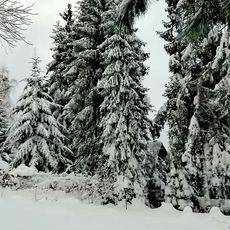 Bacowka W Gorcach * Nowy Targ